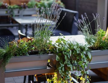 Галерея Rudison (33)