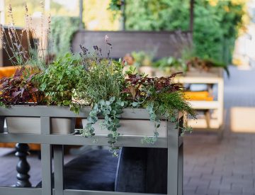 Галерея Rudison (34)